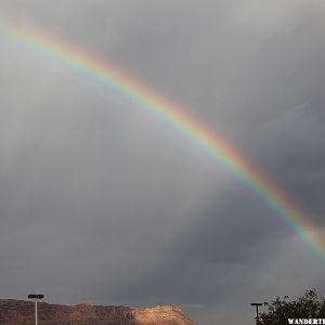 Colorado Rally 2009