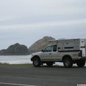 Eagle on Tacoma