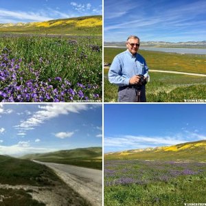 Carrizo Plain