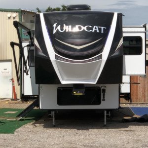 Wildcat 31WB