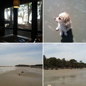 Hunting Island State Park