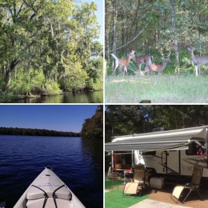 Camping Adventures Manatee Springs 2014