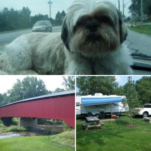 Paradise Stream Campground, Loysville, PA