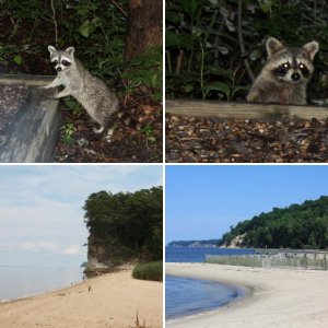 Westmoreland State Park