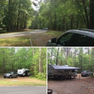 Jordan Lake State Recreation Area North Carolina