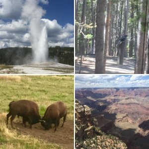 Yellowstone, Grand Tetons, Grand Canyon and More