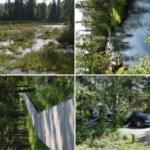 Liard River Provincial Park and Hot Springs