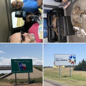 2020 CA to MS Road Trip