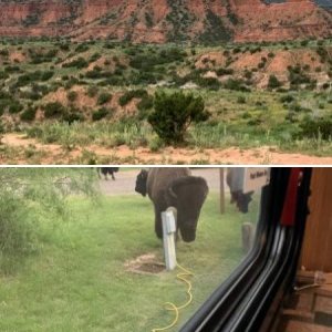 Caprock Canyon State Park, Quitaque TX