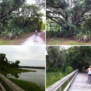 Payne's Prairie State Park