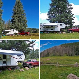 Apache National Forest AZ