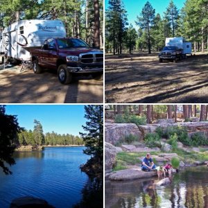 Mogollon Rim AZ