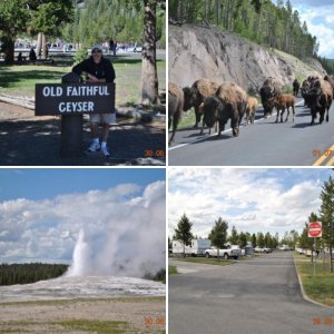 yellowstone