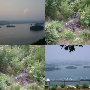 Tennessee State Parks