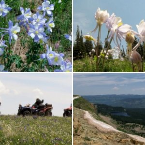 Blair Mountain, Flat Tops, Colorado