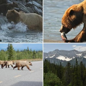 Our Alaska trip 2012