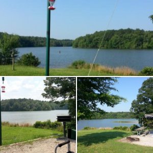 Natchez Trace State Park