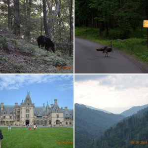 Great Smoky Mountains & West Virginia  May 2014