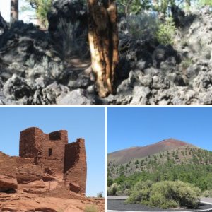 Bonito Campground, north of Flagstaff, AZ