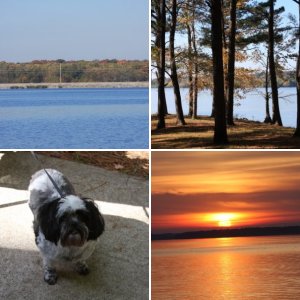 Rend Lake in southern Illinois