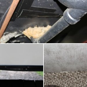 Bellie membrane Pictures and Slide floor pictures