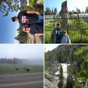 yellowstone 2018