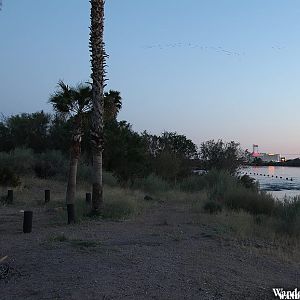 Davis Camp RV Park - Bullhead City, Arizona