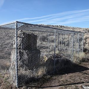 Petrified Forest, NE Nevada