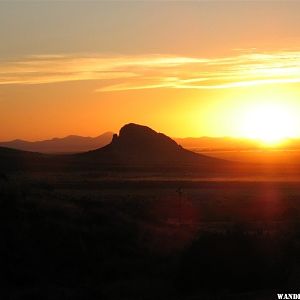 Rockhound St. Park NM 4