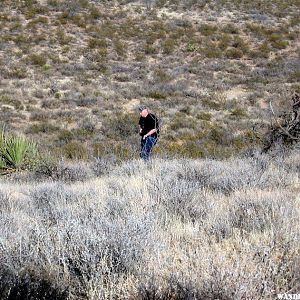 Snowbird Hunter