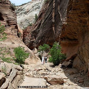 Observation Point Trail, Zion National Park