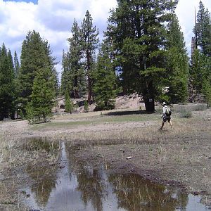 Hiking near Mammoth