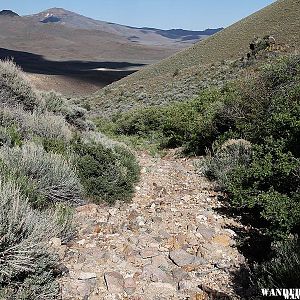 Old road, Leadville Nevada