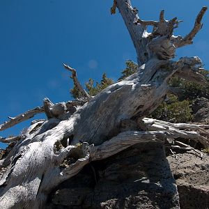 Crater Lake - Garfield Peak trail