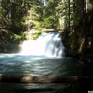 Whitehorse Falls - Umpqua National Forest