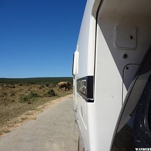 XPCamper in Africa