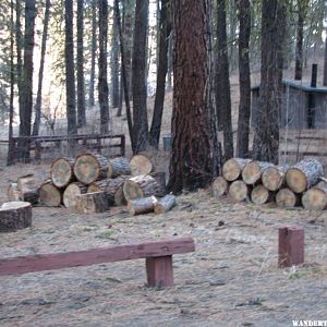 Lots of free firewood at Howard's Gulch CG.