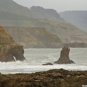 Sculptured Beach