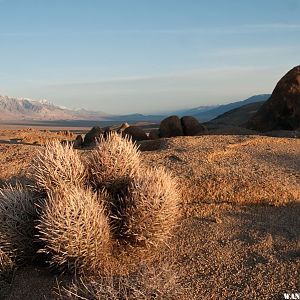 Alabama Hills