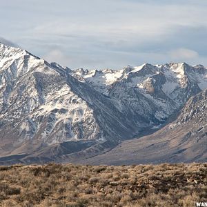 Mt. Tom and Pine Creek Canyon