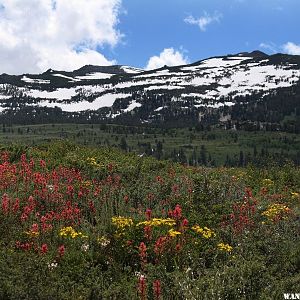 Summers Meadows in Bridge Port CA