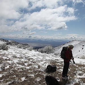 Hiking Ophir Pass