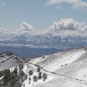 View of Mount Jefferson from Ophir Pass