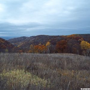 Mississippi Blufflands