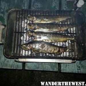 trout dinner