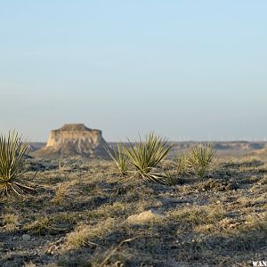 The Pawnee Buttes