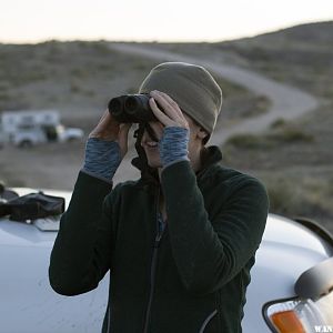 Many birds to be seen at the Pawnee Grasslands