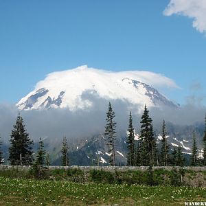 2013 051 MT RAINIER NP RAINIER FROM CHINOOK PASS