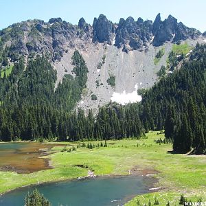 2013 043 MT RAINIER NP OWYHIGH LK TR