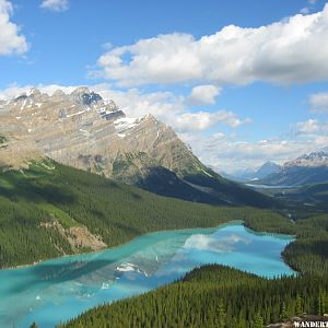 2005 B22 CANADA ICEFIELDS PKY PEYTO LK